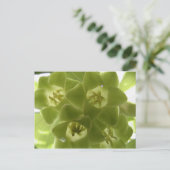 ソロモンの封印 ポストカード (スタンド正面)