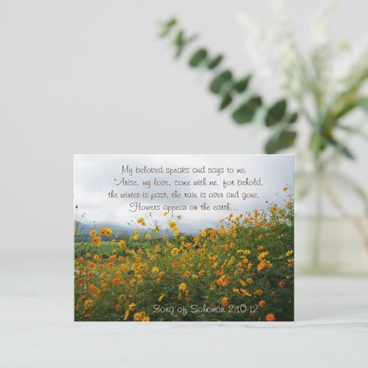 ソロモンの歌2:10わたしの愛を起こ来せよ ポストカード (スタンド正面)