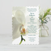 ソロモンの歌2:16a愛する者は私のものだ。 招待状 (スタンド正面)