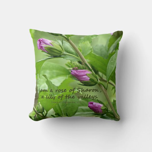 ソロモンの歌2:1 クッション (正面)