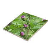 ソロモンの歌2:1 タイル (側面)