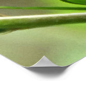 ソロモンの歌2:1 ポスター (角)