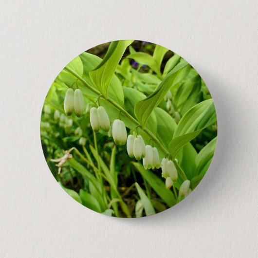 ソロモンシールバッジ 缶バッジ (正面)