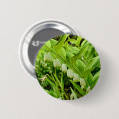 ソロモンシールバッジ 缶バッジ (正面&裏面)