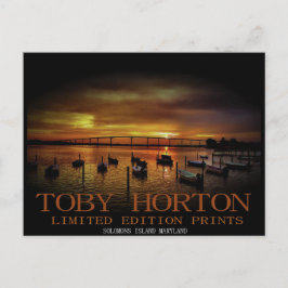 ソロモンズアイランド ポストカード