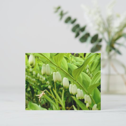 ソロモンズシール ポストカード (スタンド正面)