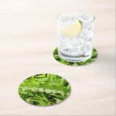 ソロモンズシール ラウンドペーパーコースター (インサイチュ)