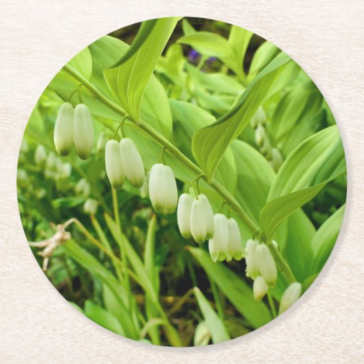 ソロモンズシール ラウンドペーパーコースター (正面)