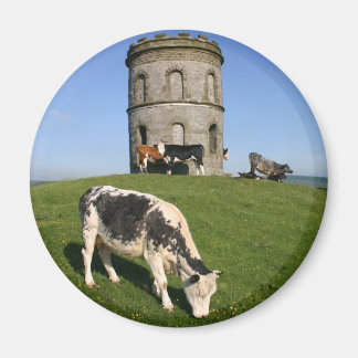 ソロモンズテンプル冷蔵庫用マグネット マグネット