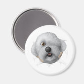 ソロモン栗 マグネット (正面/裏面)