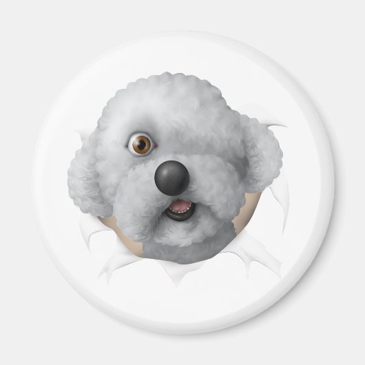 ソロモン栗 マグネット (正面)