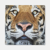 ソロモン –  マグネット (正面)