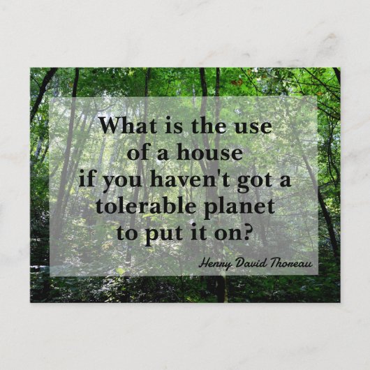 ソロー引用文フォレストランドスケープフォト ポストカード (正面)