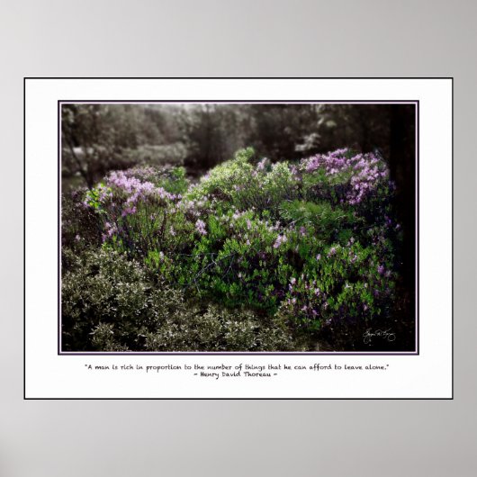 ソロー引用文ポスター – Sheep Laurel ポスター (正面)