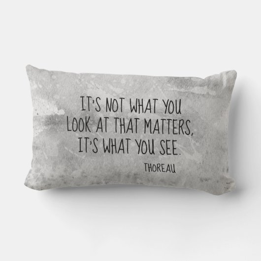 ソロー文学引用文グレー絵を描(ばちゃばちゃ)跳ねるデザイン ランバークッション (裏面)