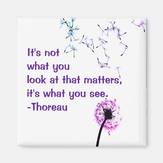 ソロー・マグネットとは違う マグネット (正面)