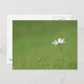 ソロ ポストカード (正面/裏面)