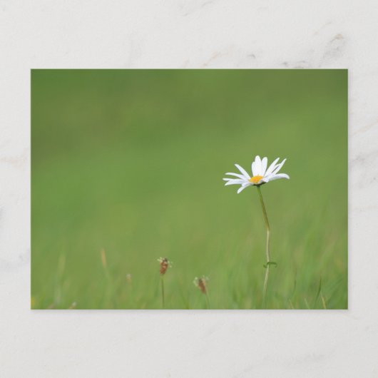 ソロ ポストカード (正面)