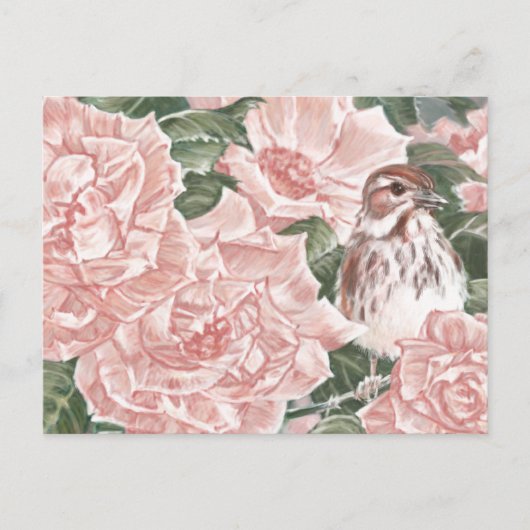 ソングスパローとピンクローズの花絵画の花 ポストカード (正面)