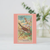 ソングスパロー ポストカード (スタンド正面)