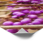 ソングスリッシュポスター ポスター (角)