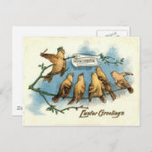 ソングバードショアスカイシンギングソングツリー ポストカード (正面/裏面)