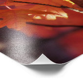 "ソングリス" フォトプリント            (角)