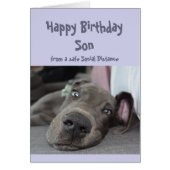 ソンソーシャルディスタンシング誕生日グレートデーンドッグ (正面)