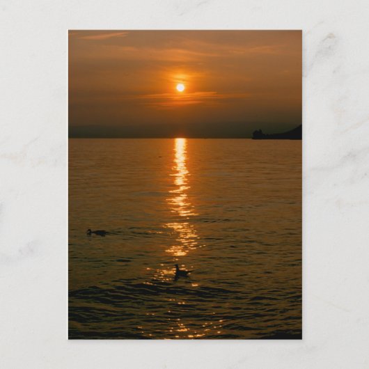 ソンヌンターガンモントルーポストカルテ ポストカード (正面)