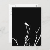 ソンバードナイト ポストカード (正面/裏面)