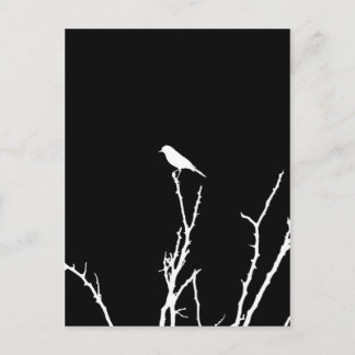 ソンバードナイト ポストカード