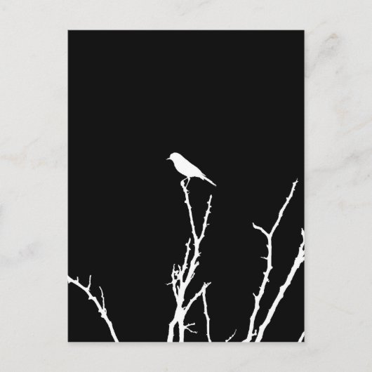 ソンバードナイト ポストカード (正面)