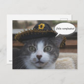 ソンブおもしろいレロの猫 ポストカード (正面/裏面)