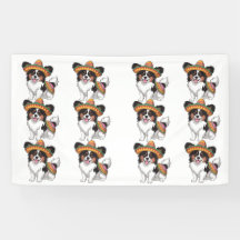 ソンブレロとサラペを着たフィエスタパピヨン犬