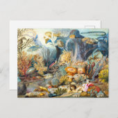 ソンマーヴィル海ライフポストカード ポストカード (正面/裏面)