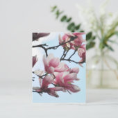 ソーサーマグノリアチューリップツリーフラワーフォト ポストカード (スタンド正面)