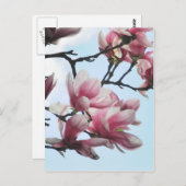 ソーサーマグノリアチューリップツリーフラワーフォト ポストカード (正面/裏面)