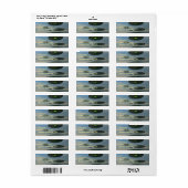 ソーサー飛んでいるフリートラベル ラベル (フルシート)