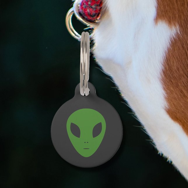 ソーサー飛んでいる&グリーンエイリアンペットタグ ペット　ネームタグ (Green Alien Pet Tag)