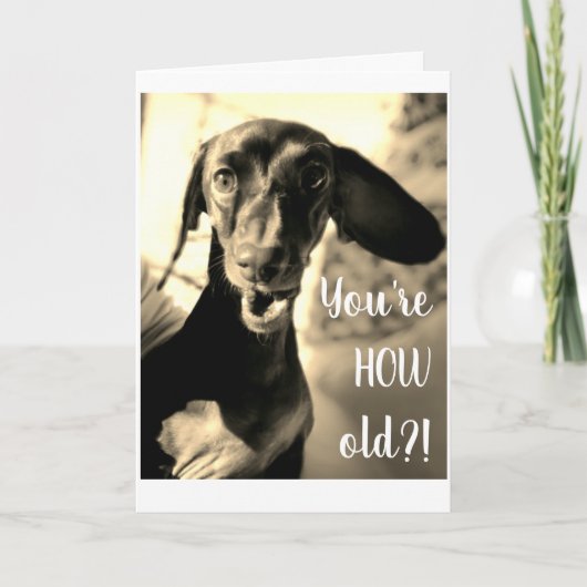 ソーセージドッグ誕生日カードおもしろい カード (正面)