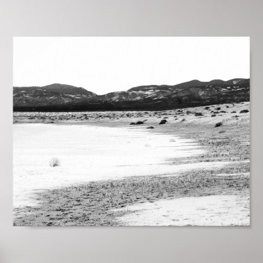 ソーダ湖カリゾプレーンカリフォルニア ポスター (正面)