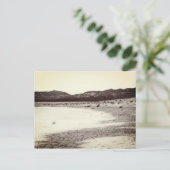 ソーダ湖カリゾプレーンカリフォルニア ポストカード (スタンド正面)