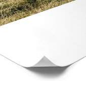 ソーテルライトハウスプリント ポスター (角)