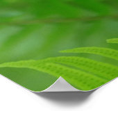 ソードシダのクローズアップ ポスター (角)