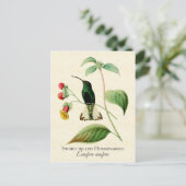 ソードハミングバードヴィンテージアート ポストカード (スタンド正面)