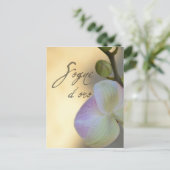 ソーニ・ドーロ（スイートドリームス）オーキッド ポストカード (スタンド正面)