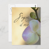 ソーニ・ドーロ（スイートドリームス）オーキッド ポストカード (正面/裏面)