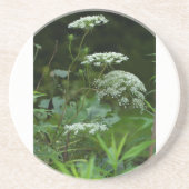 ソープストーンコースターテンプレート コースター (正面)