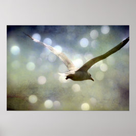 ソーラー3 ポスター