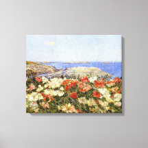 ソール島の野生のケシ